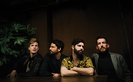 Foals