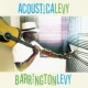 Acousticalevy