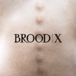 Brood X