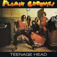 Teenage Head