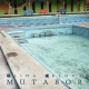 Mutabor