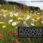 Flower Meadow (EV-55)