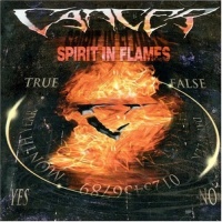 Spirit In Flames