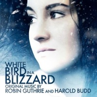 White Bird In A Blizzard