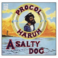 A Salty Dog