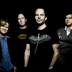 Gin Blossoms