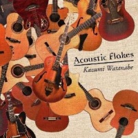 Acoustic Flakes