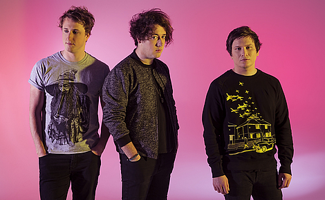 The Wombats