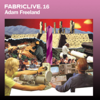 FabricLive 13