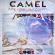 Camel At The Royal Albert Hall