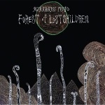 Forest Of Lost Children