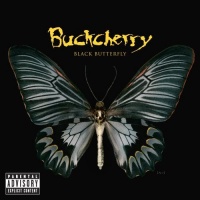 Black Butterfly