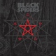 Black Spiders