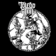 Toledo Steel