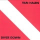 Diver Down