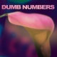 Dumb Numbers