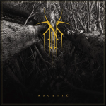 Ascetic