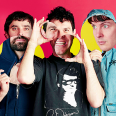 Animal Collective