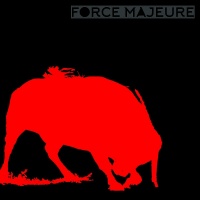 Force Majeure