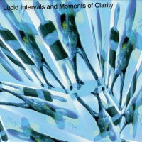 Lucid Intervals and Moments of Clarity