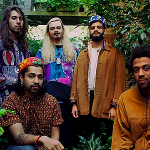 Flamingods