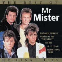 Best Of Mr Mister 