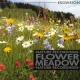 Flower Meadow (EV-55)