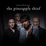 Introducing The Pineapple Thief 