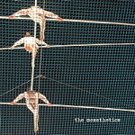 The Messthetics