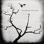 The Airborne Toxic Event