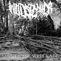 Survey the Wreckage