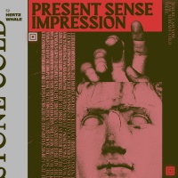 Present Sense Impression 