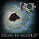 Black Sheep