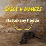 Naštěkaný F Bódě