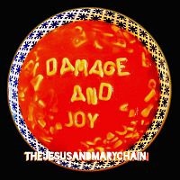 Damage And Joy