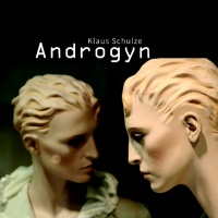  Androgyn