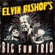 Elvin Bishop's Big Fun Trio